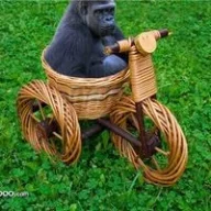 t1redmonkey