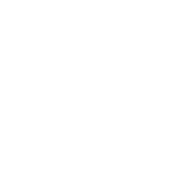 celebins