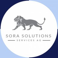 sora_solution0