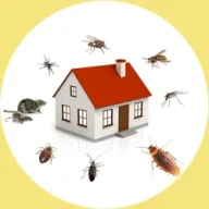 southpestcontroladelaide