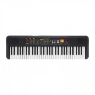 organ613