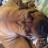 Steve.d